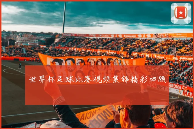 世界杯足球比赛视频集锦精彩回顾