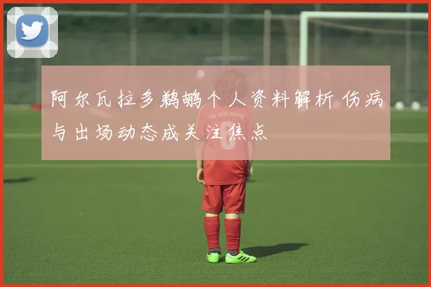 阿尔瓦拉多鹈鹕个人资料解析 伤病与出场动态成关注焦点
