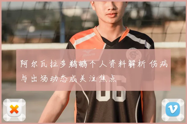 阿尔瓦拉多鹈鹕个人资料解析 伤病与出场动态成关注焦点