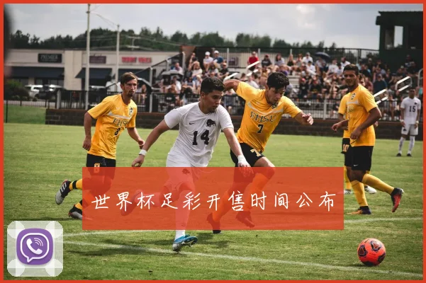 世界杯足彩开售时间公布