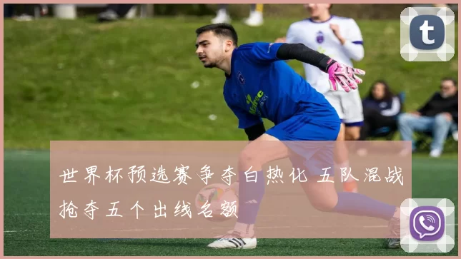 世界杯预选赛争夺白热化 五队混战抢夺五个出线名额