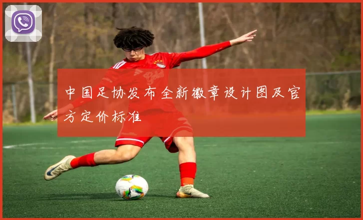 中国足协发布全新徽章设计图及官方定价标准