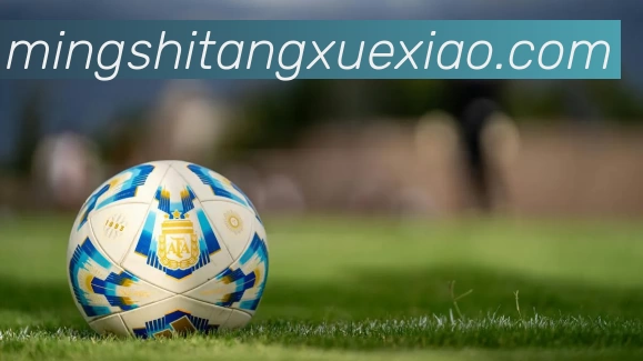 EMC易倍·(中国)体育官方网站平台发展历程